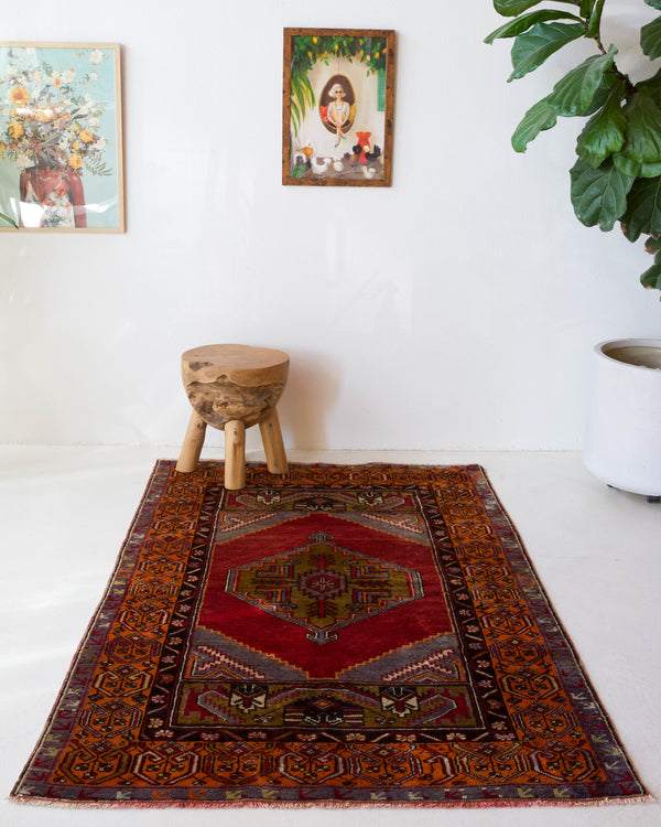 Vintage Turkish rug in a living room setting, pile rug, Turkish rug, vintage rug, portland, rug shop, bright colors, wild shaman, soft rug, bold color, Portland, Oregon, rug store, rug shop, local shop, antique rug