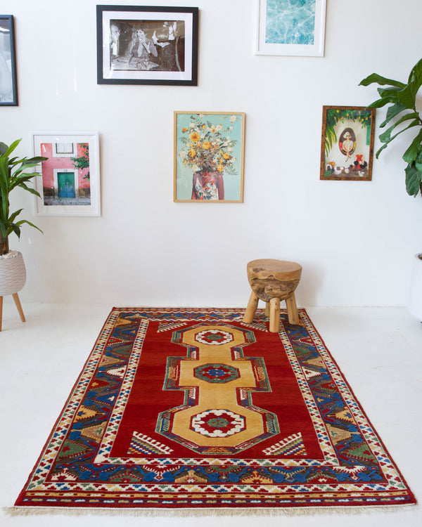 Vintage Turkish rug in a living room setting, pile rug, Turkish rug, vintage rug, portland, rug shop, bright colors, wild shaman, soft rug, bold color, Portland, Oregon, rug store, rug shop, local shop, antique rug