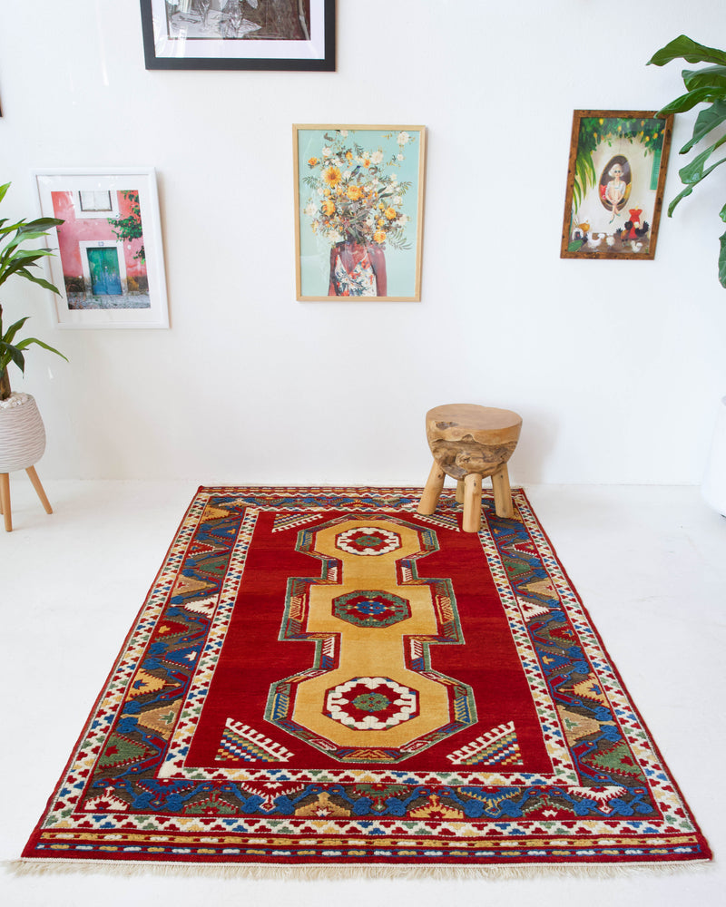 Vintage Turkish rug in a living room setting, pile rug, Turkish rug, vintage rug, portland, rug shop, bright colors, wild shaman, soft rug, bold color, Portland, Oregon, rug store, rug shop, local shop, antique rug