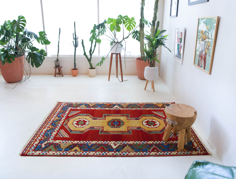 Vintage Turkish rug in a living room setting, pile rug, Turkish rug, vintage rug, portland, rug shop, bright colors, wild shaman, soft rug, bold color, Portland, Oregon, rug store, rug shop, local shop, antique rug