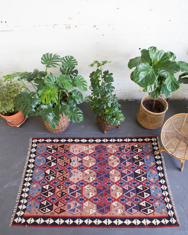 Turkish rug, vintage rug, flat weave, kilim rug, large area rug, square rug, Wild Shaman, Portland, Oregon, rug store, rug shop, local shop,  bright colors, area rug, bold color