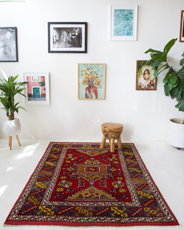 Vintage Turkish rug in a living room setting, pile rug, Turkish rug, vintage rug, portland, rug shop, bright colors, wild shaman, soft rug, bold color, Portland, Oregon, rug store, rug shop, local shop, antique rug