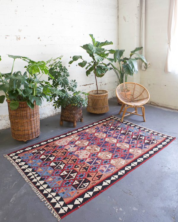 Turkish rug, vintage rug, flat weave, kilim rug, large area rug, square rug, Wild Shaman, Portland, Oregon, rug store, rug shop, local shop,  bright colors, area rug, bold color