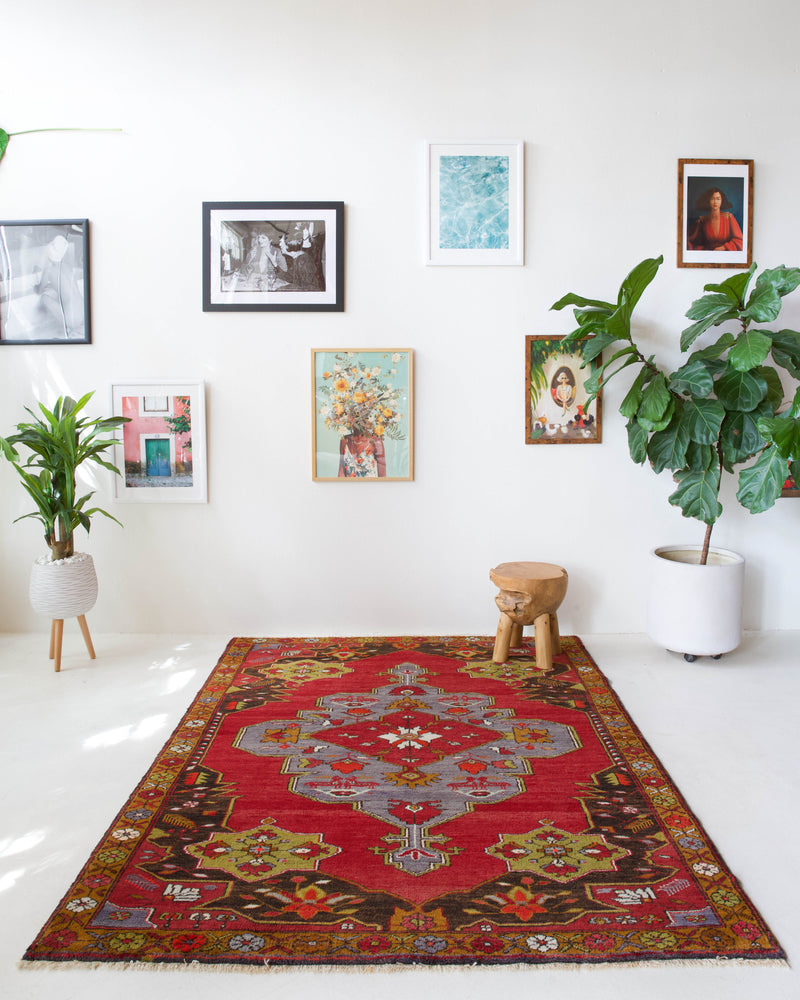 Vintage Turkish rug in a living room setting, pile rug, Turkish rug, vintage rug, portland, rug shop, bright colors, wild shaman, soft rug, bold color, Portland, Oregon, rug store, rug shop, local shop, antique rug