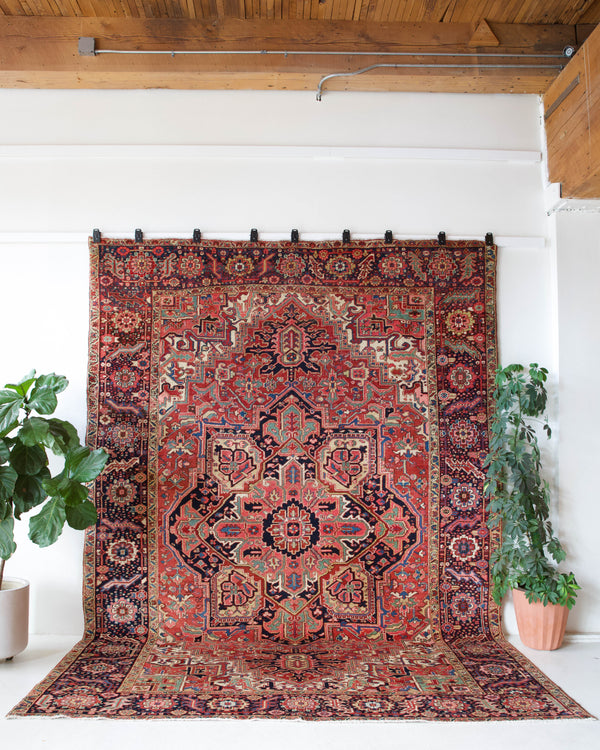 Antique Persian area rug in a living room setting, pile rug, Turkish rug, old rug, antique rug, pastel colors, faded colors, Turkish rug, vintage rug, soft rug, Portland, Oregon, rug store, rug shop, local shop, distressed rug, worn out rug