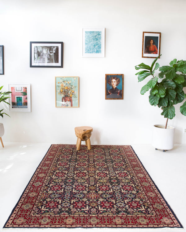 Vintage Turkish rug in a living room setting, pile rug, Turkish rug, vintage rug, portland, rug shop, bright colors, wild shaman, soft rug, bold color, Portland, Oregon, rug store, rug shop, local shop, antique rug