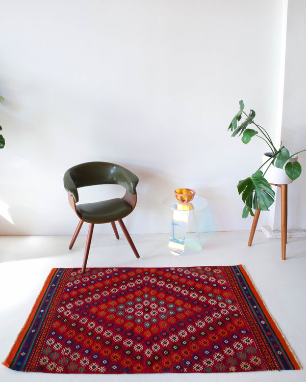 Vintage kilim rug in room decor setting, kilim, Turkish rug, vintage rug, portland, rug shop, bright colors, wild shaman, soft rug, bold color, Portland, Oregon, rug store, rug shop, local shop, antique rug