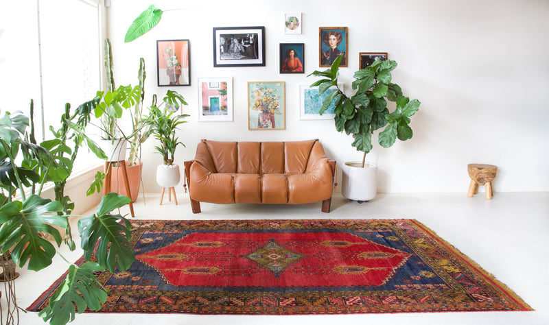 Vintage Turkish rug in a living room setting, pile rug, Turkish rug, vintage rug, portland, rug shop, bright colors, wild shaman, soft rug, bold color, Portland, Oregon, rug store, rug shop, local shop, antique rug