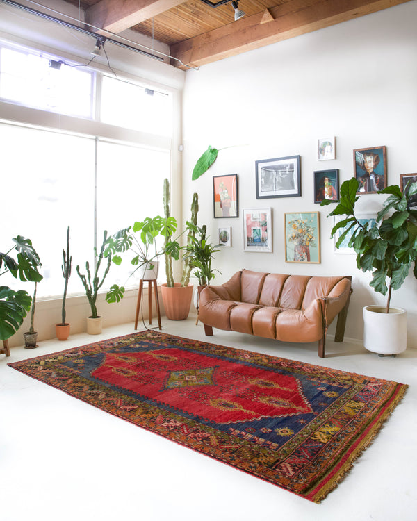 Vintage Turkish rug in a living room setting, pile rug, Turkish rug, vintage rug, portland, rug shop, bright colors, wild shaman, soft rug, bold color, Portland, Oregon, rug store, rug shop, local shop, antique rug