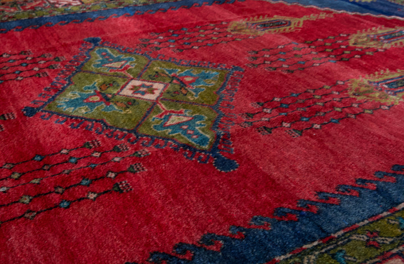 Vintage Turkish rug in a living room setting, pile rug, Turkish rug, vintage rug, portland, rug shop, bright colors, wild shaman, soft rug, bold color, Portland, Oregon, rug store, rug shop, local shop, antique rug