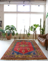 Vintage Turkish rug in a living room setting, pile rug, Turkish rug, vintage rug, portland, rug shop, bright colors, wild shaman, soft rug, bold color, Portland, Oregon, rug store, rug shop, local shop, antique rug