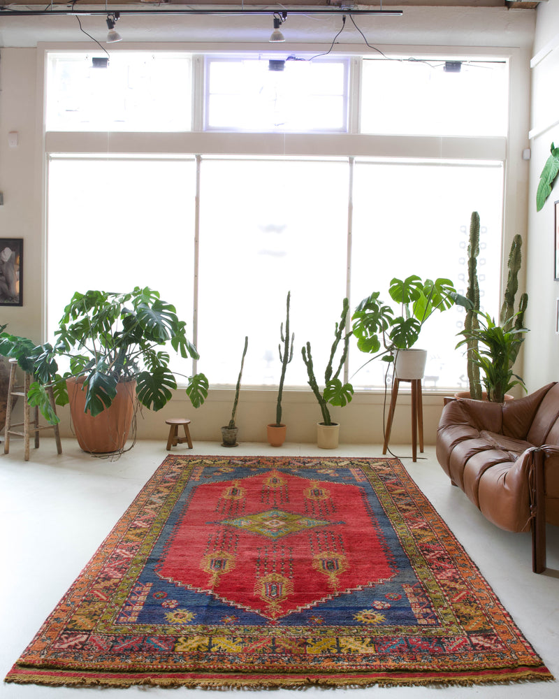 Vintage Turkish rug in a living room setting, pile rug, Turkish rug, vintage rug, portland, rug shop, bright colors, wild shaman, soft rug, bold color, Portland, Oregon, rug store, rug shop, local shop, antique rug