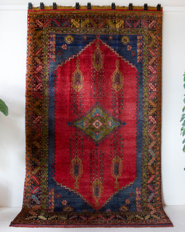 Vintage Turkish rug in a living room setting, pile rug, Turkish rug, vintage rug, portland, rug shop, bright colors, wild shaman, soft rug, bold color, Portland, Oregon, rug store, rug shop, local shop, antique rug