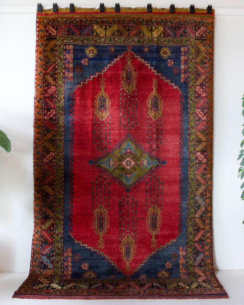 Vintage Turkish rug in a living room setting, pile rug, Turkish rug, vintage rug, portland, rug shop, bright colors, wild shaman, soft rug, bold color, Portland, Oregon, rug store, rug shop, local shop, antique rug