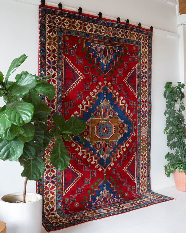 Vintage Turkish rug in a living room setting, pile rug, Turkish rug, vintage rug, portland, rug shop, bright colors, wild shaman, soft rug, bold color, Portland, Oregon, rug store, rug shop, local shop, antique rug