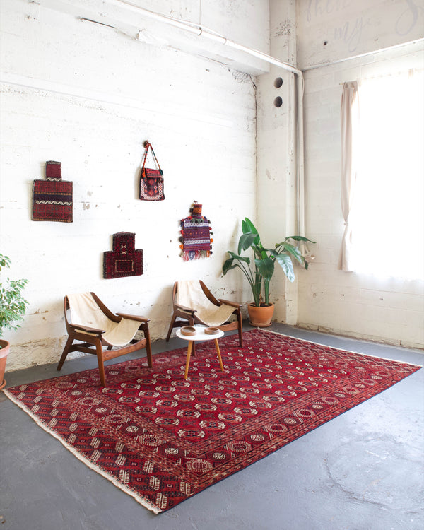 old rug, antique rug, Turkish rug, Portland, Oregon, rug store, rug shop, local shop, bright colors, wild shaman, large rug, area rug, red rug, bold color, burgundy, dark red