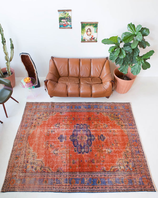 Vintage Turkish  rug in a living room setting, pile rug, Turkish rug, vintage rug, portland, rug shop, bright colors, wild shaman, soft rug, bold color, Portland, Oregon, rug store, rug shop, local shop, antique rug, distressed rug, worn out rug