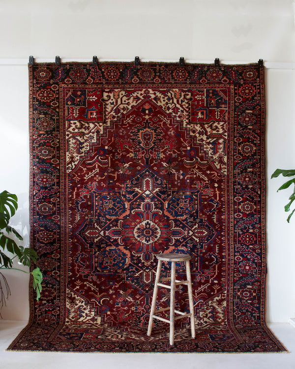 Antique Persian area rug in a living room setting, pile rug, vintage rug, portland, rug shop, bright colors, wild shaman, soft rug, bold color, Portland, Oregon, rug store, rug shop, local shop, antique rug, Persian rug, handmade rug, wool rug, distressed rug