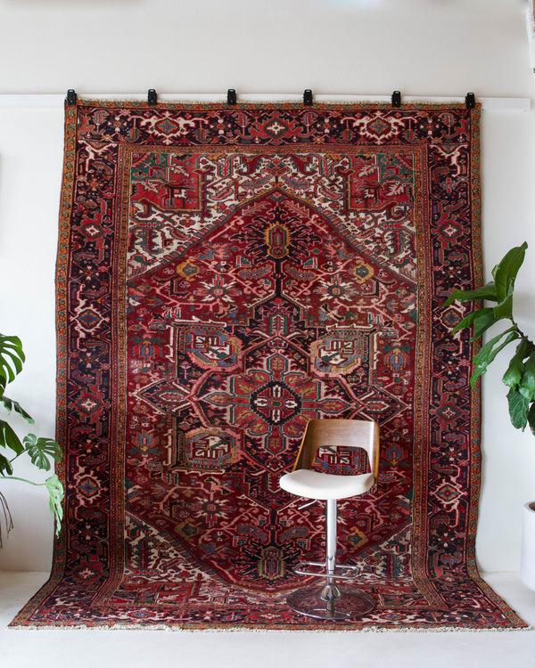 Antique Persian area rug in a living room setting, pile rug, vintage rug, portland, rug shop, bright colors, wild shaman, soft rug, bold color, Portland, Oregon, rug store, rug shop, local shop, antique rug, Persian rug, handmade rug, wool rug, distressed rug