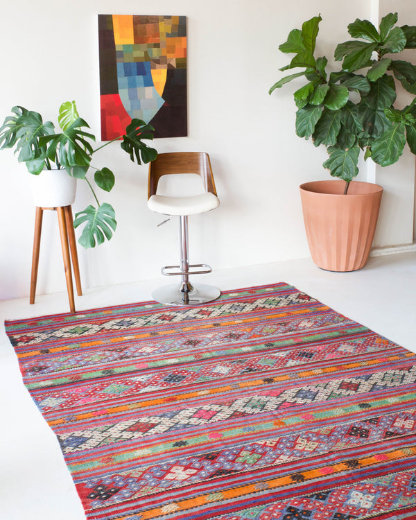  Vintage Turkish rug in a living room setting, pile rug, Turkish rug, vintage rug, portland, rug shop, bright colors, wild shaman, soft rug, bold color, Portland, Oregon, rug store, rug shop, local shop