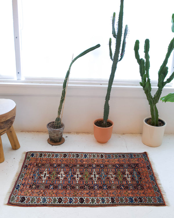 Vintage mini kilim rug in room decor setting, kilim, Turkish rug, vintage rug, portland, rug shop, bright colors, wild shaman, soft rug, bold color, Portland, Oregon, rug store, rug shop, local shop