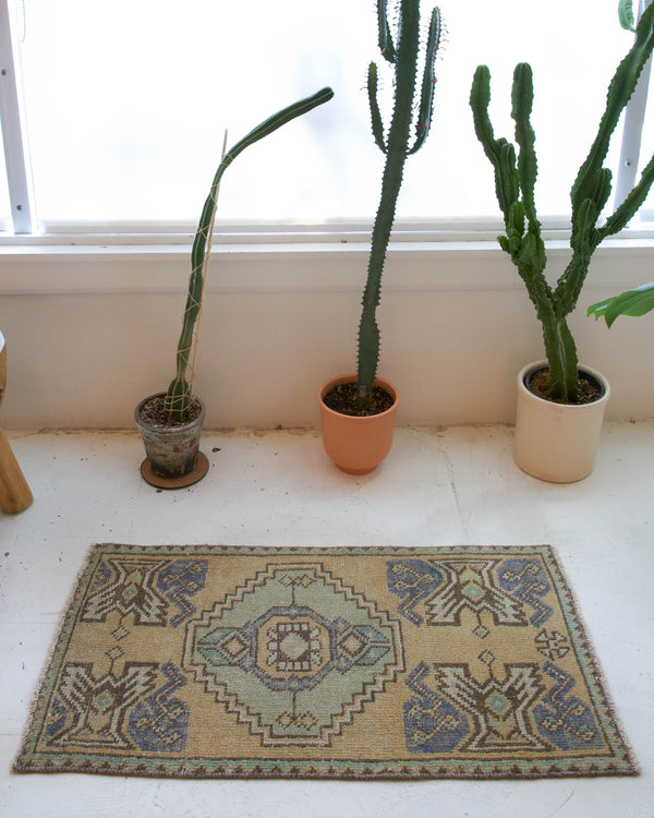 Vintage mini kilim rug in room decor setting, kilim, Turkish rug, vintage rug, portland, rug shop, bright colors, wild shaman, soft rug, bold color, Portland, Oregon, rug store, rug shop, local shop