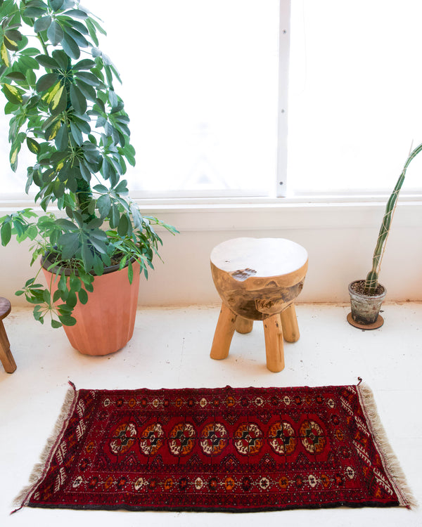 Vintage mini kilim rug in room decor setting, kilim, Turkish rug, vintage rug, portland, rug shop, bright colors, wild shaman, soft rug, bold color, Portland, Oregon, rug store, rug shop, local shop