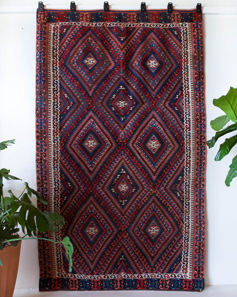 Vintage kilim rug in living room setting, bright colors, wild shaman, soft rug, bold color, Portland, Oregon, rug store, rug shop, local shop, vintage rug, modern kilim, warm colors