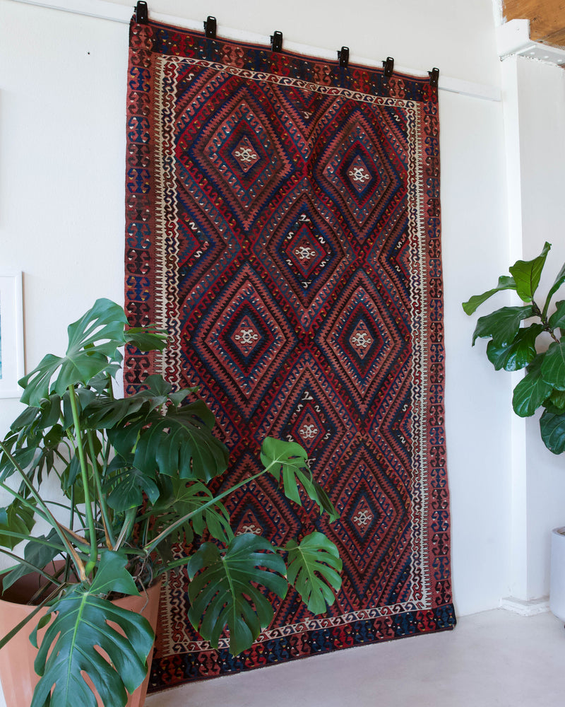 Vintage kilim rug in living room setting, bright colors, wild shaman, soft rug, bold color, Portland, Oregon, rug store, rug shop, local shop, vintage rug, modern kilim, warm colors