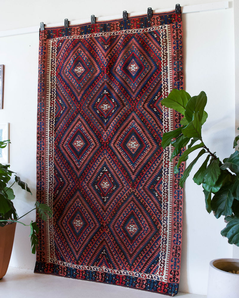 Vintage kilim rug in living room setting, bright colors, wild shaman, soft rug, bold color, Portland, Oregon, rug store, rug shop, local shop, vintage rug, modern kilim, warm colors