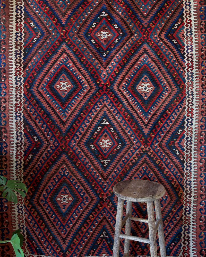 Vintage kilim rug in living room setting, bright colors, wild shaman, soft rug, bold color, Portland, Oregon, rug store, rug shop, local shop, vintage rug, modern kilim, warm colors