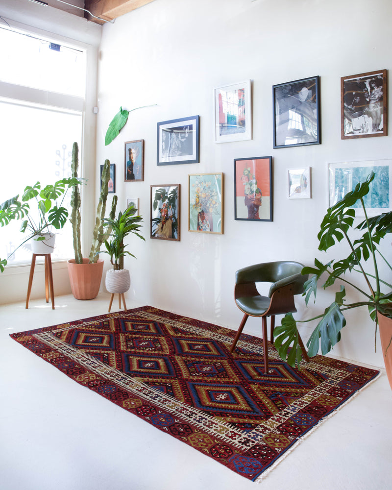 Vintage kilim rug in living room setting, bright colors, wild shaman, soft rug, bold color, Portland, Oregon, rug store, rug shop, local shop, vintage rug, modern kilim, warm colors