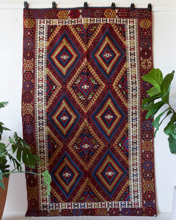 Vintage kilim rug in living room setting, bright colors, wild shaman, soft rug, bold color, Portland, Oregon, rug store, rug shop, local shop, vintage rug, modern kilim, warm colors