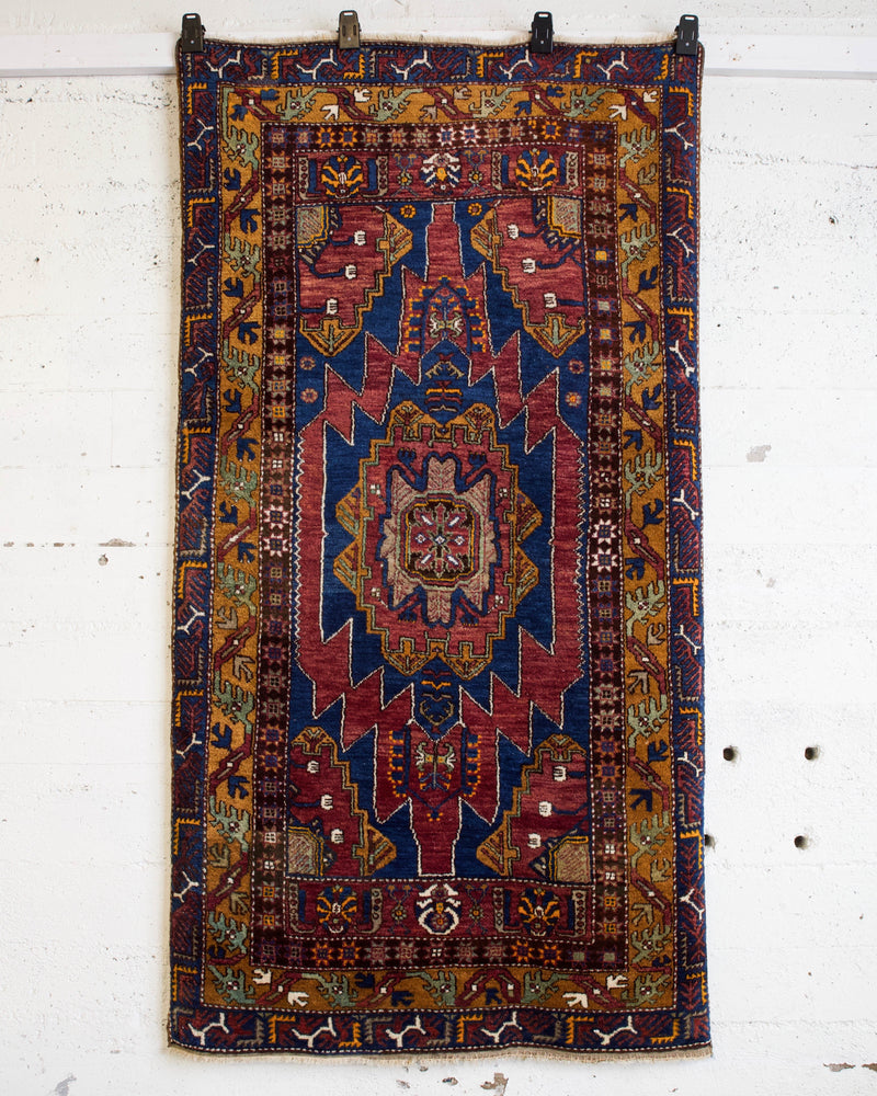 pile rug, Turkish rug, vintage rug, portland, rug shop, bright colors, wild shaman, shaggy rug, soft rug, tulu rug, bold color, Portland, Oregon, rug store, rug shop, local shop