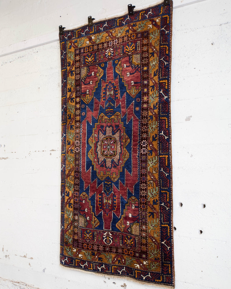 pile rug, Turkish rug, vintage rug, portland, rug shop, bright colors, wild shaman, shaggy rug, soft rug, tulu rug, bold color, Portland, Oregon, rug store, rug shop, local shop