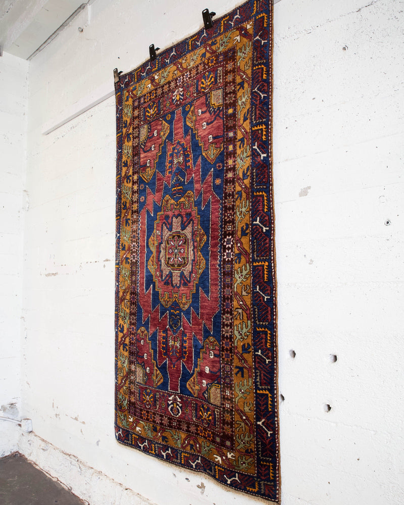 pile rug, Turkish rug, vintage rug, portland, rug shop, bright colors, wild shaman, shaggy rug, soft rug, tulu rug, bold color, Portland, Oregon, rug store, rug shop, local shop