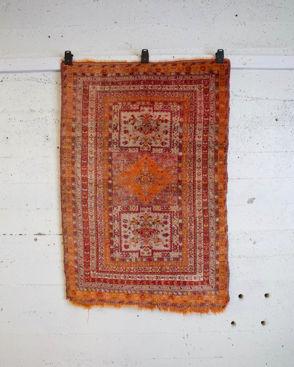 pile rug, Turkish rug, vintage rug, portland, rug shop, bright colors, wild shaman, soft rug, bold color, Portland, Oregon, rug store, rug shop, local shop