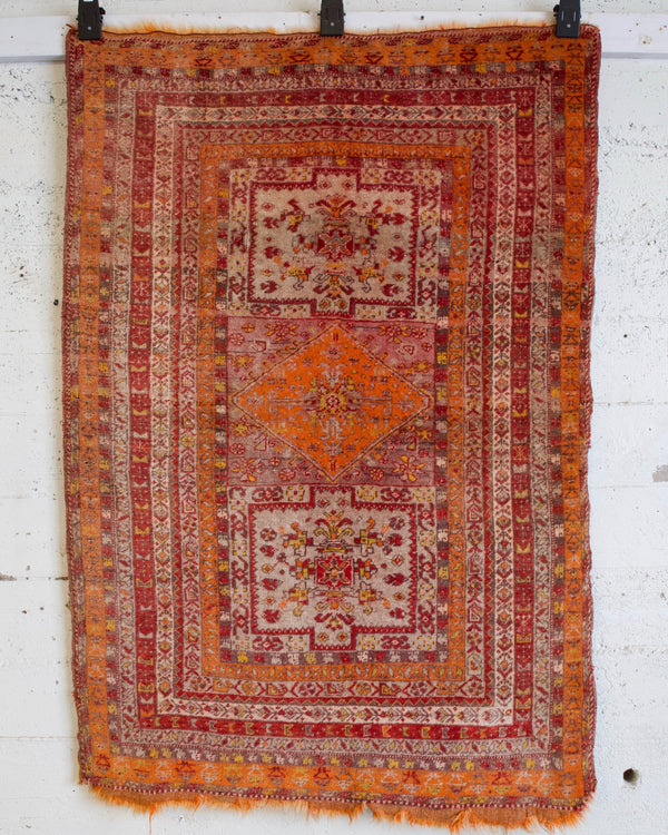 pile rug, Turkish rug, vintage rug, portland, rug shop, bright colors, wild shaman, soft rug, bold color, Portland, Oregon, rug store, rug shop, local shop