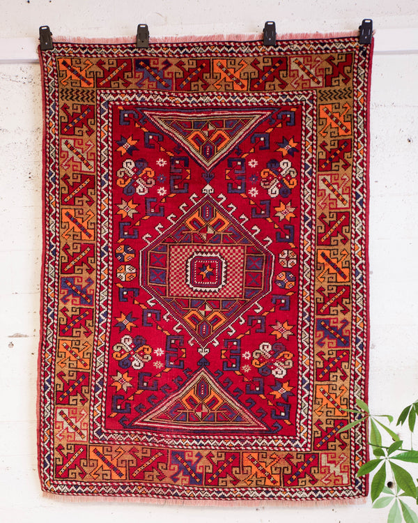 pile rug, Turkish rug, vintage rug, portland, rug shop, bright colors, wild shaman, soft rug, bold color, Portland, Oregon, rug store, rug shop, local shop