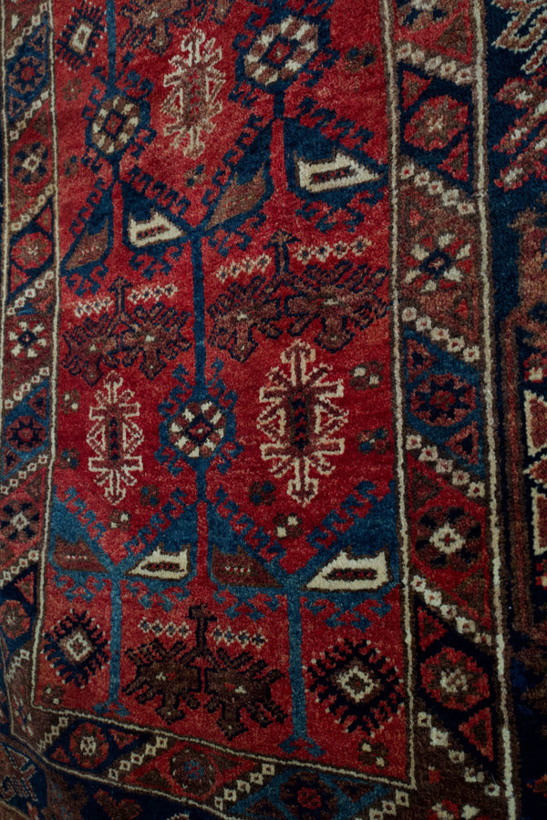 pile rug, Turkish rug, vintage rug, portland, rug shop, bright colors, wild shaman, soft rug, bold color, Portland, Oregon, rug store, rug shop, local shop