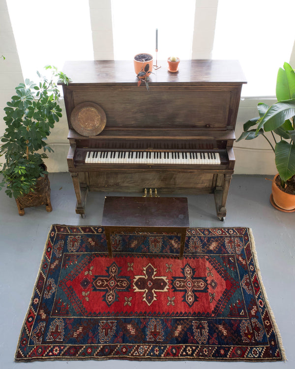 pile rug, Turkish rug, vintage rug, portland, rug shop, bright colors, wild shaman, soft rug, bold color, Portland, Oregon, rug store, rug shop, local shop