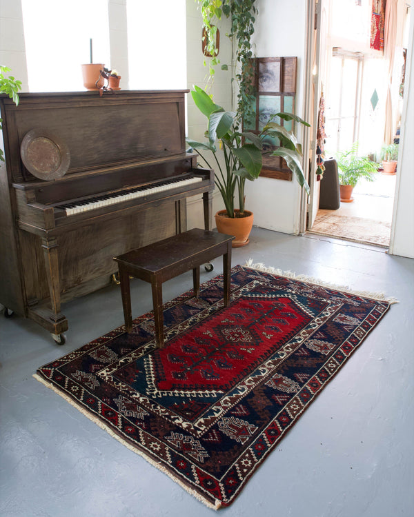 pile rug, Turkish rug, vintage rug, portland, rug shop, bright colors, wild shaman, soft rug, bold color, Portland, Oregon, rug store, rug shop, local shop