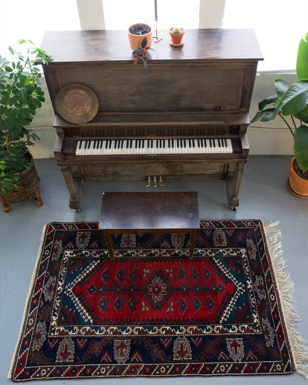 pile rug, Turkish rug, vintage rug, portland, rug shop, bright colors, wild shaman, soft rug, bold color, Portland, Oregon, rug store, rug shop, local shop