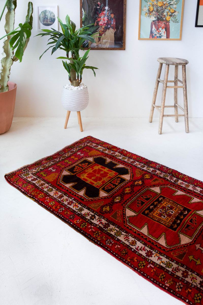 Vintage Turkish runner rug in a living room setting, pile rug, Turkish rug, vintage rug, portland, rug shop, bright colors, wild shaman, soft rug, bold color, Portland, Oregon, rug store, rug shop, local shop, antique rug