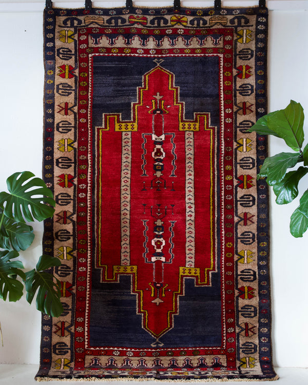 Vintage Turkish rug in a living room setting, pile rug, Turkish rug, vintage rug, portland, rug shop, bright colors, wild shaman, soft rug, bold color, Portland, Oregon, rug store, rug shop, local shop