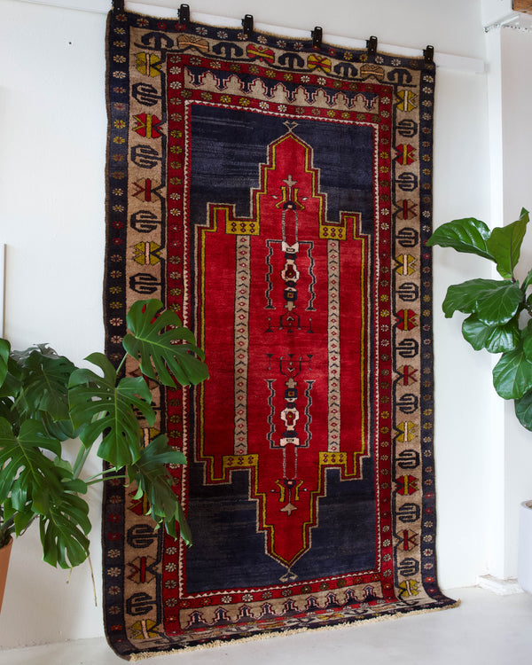 Vintage Turkish rug in a living room setting, pile rug, Turkish rug, vintage rug, portland, rug shop, bright colors, wild shaman, soft rug, bold color, Portland, Oregon, rug store, rug shop, local shop