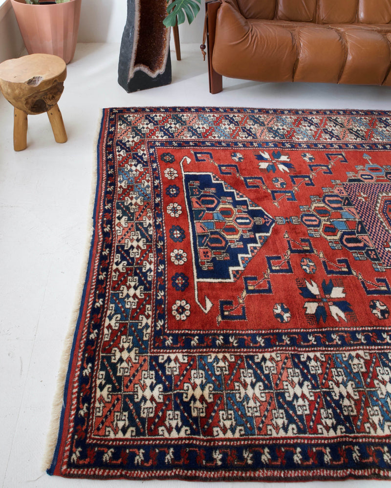 Vintage Turkish rug in a living room setting, pile rug, Turkish rug, vintage rug, portland, rug shop, bright colors, wild shaman, soft rug, bold color, Portland, Oregon, rug store, rug shop, local shop, antique rug