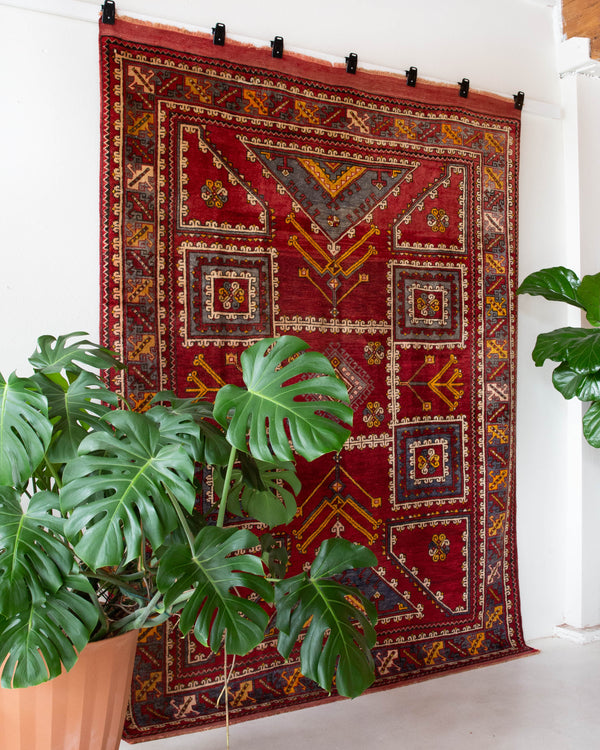  Vintage Turkish rug in a living room setting, pile rug, Turkish rug, vintage rug, portland, rug shop, bright colors, wild shaman, soft rug, bold color, Portland, Oregon, rug store, rug shop, local shop