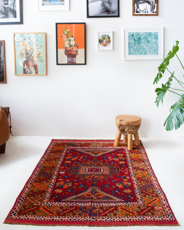 Vintage Turkish rug in a living room setting, pile rug, Turkish rug, vintage rug, portland, rug shop, bright colors, wild shaman, soft rug, bold color, Portland, Oregon, rug store, rug shop, local shop