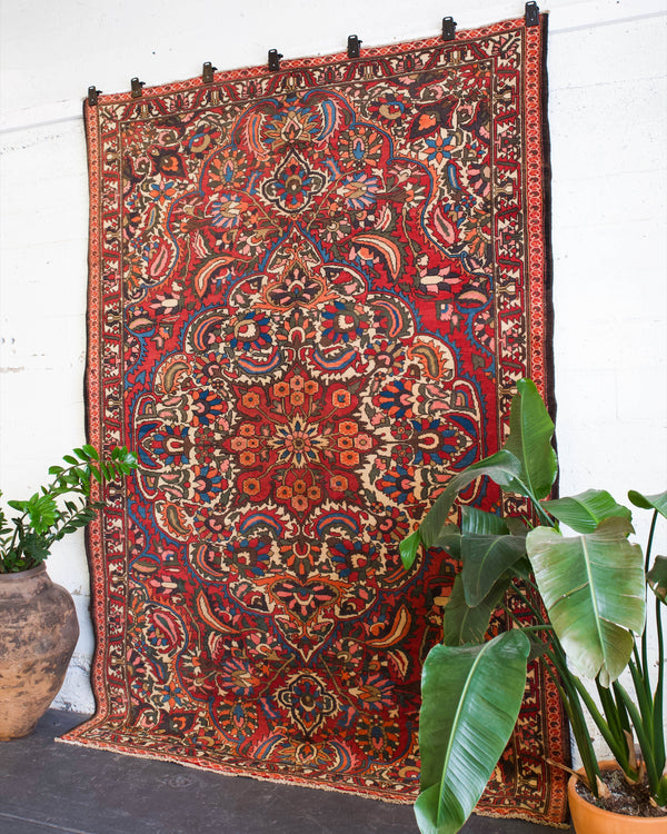 old rug, antique rug, Turkish rug, Portland, Oregon, rug store, rug shop, local shop, bright colors, wild shaman, large rug, area rug, red rug, bold color, burgundy, dark red, persian rug